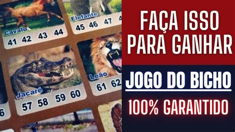 jogo do bicho no youtube.